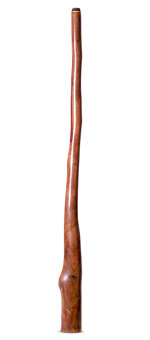 Tristan O'Meara Didgeridoo (TM480)